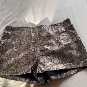 Snake skin shorts